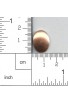 Oval 9/16 X 11/16 inch - ( Pack of 10 ) Copper Ref: 1016
