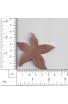 Sea star 2 1/2 X 2 7/16 inch - ( Pack of 3 ) Copper Ref: 863