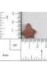 Sea star 3/4 X 3/4 inch - ( Pack of 10 ) Copper Ref: 970