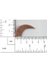 Corne 35 X 20 mm - ( Paquet de 10 ) Cuivre Ref: 1032